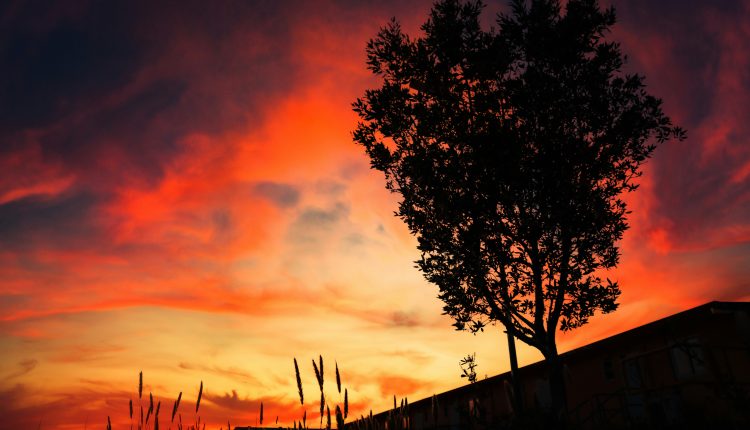 ¿Cuánto dura el duelo?